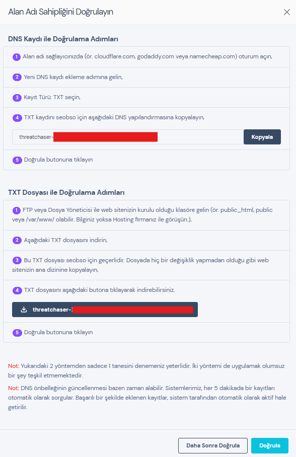 Alan Adı Doğrulama Ekranı